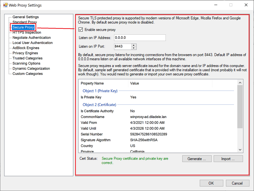 Network Settings for Secure HTTPS Proxy