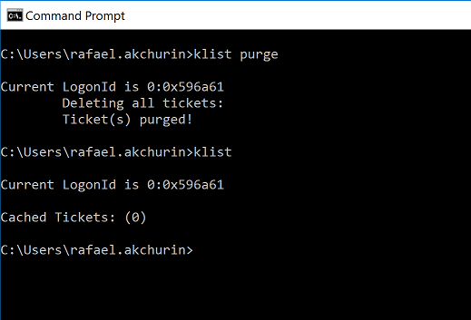 klist Purge