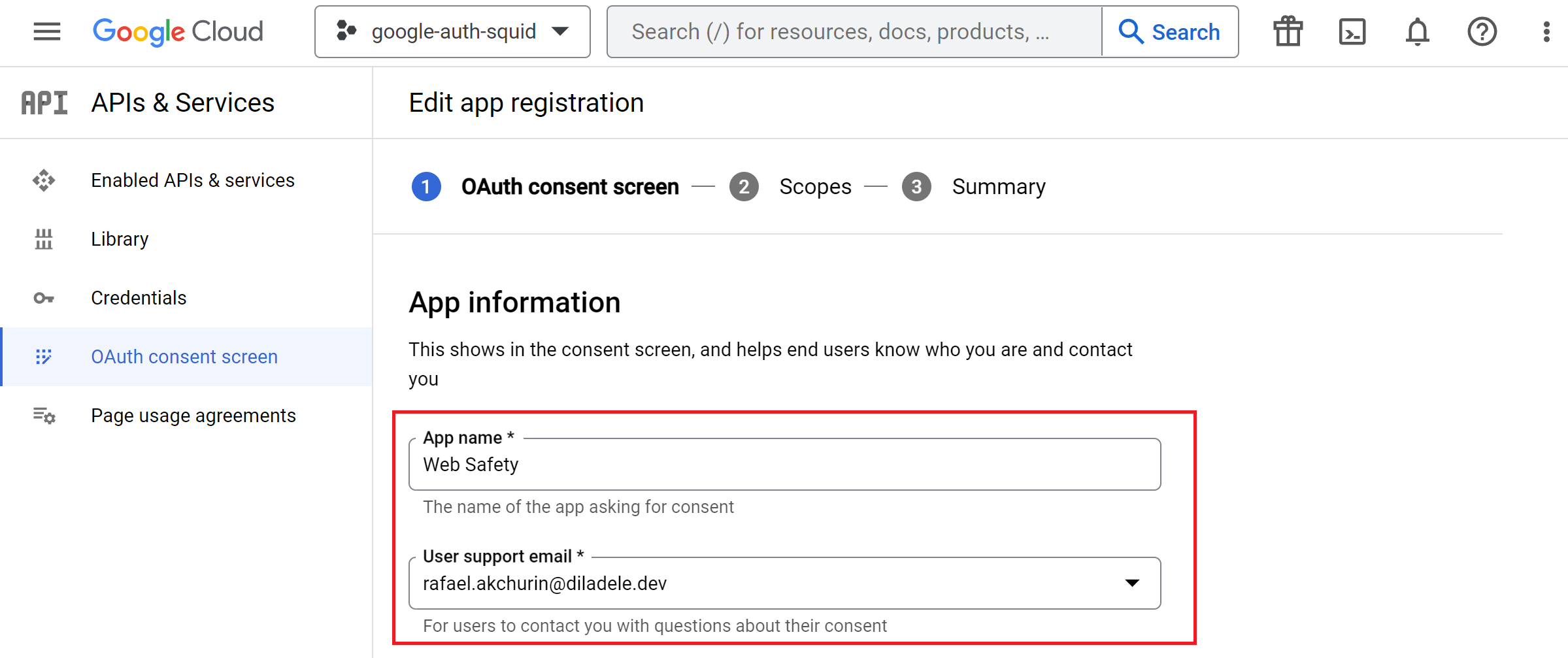 oauth consent screen app info