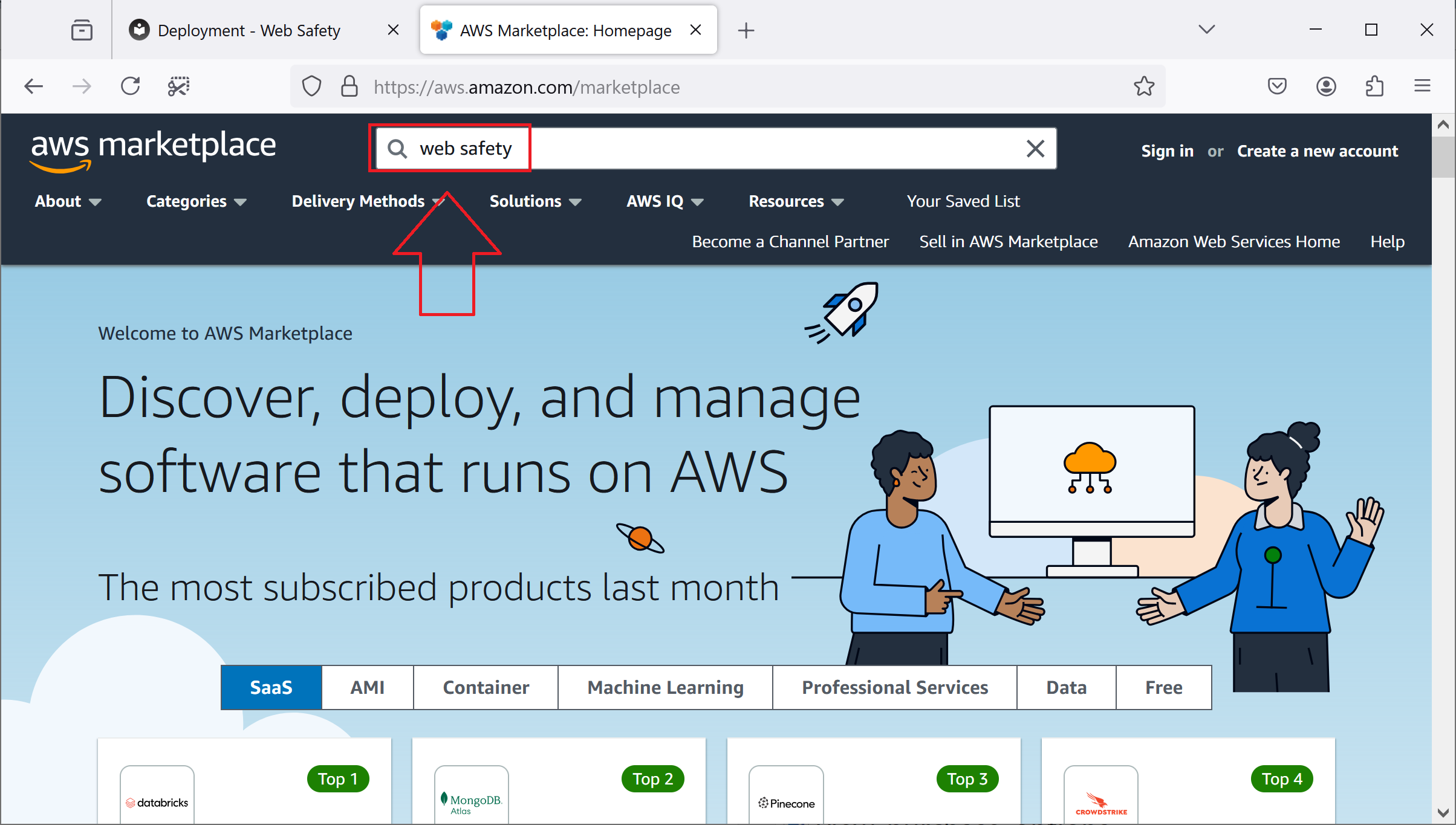 Search for Web Safety